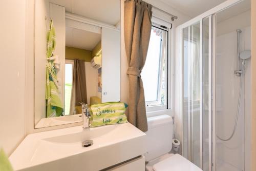 代森扎诺-德尔加达San Francesco Camping Village的一间带水槽、卫生间和镜子的浴室