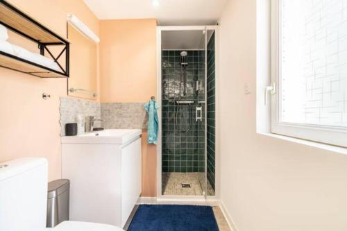 瓦朗西纳Suite Cosy MontBlanc en Hyper Centre的带淋浴、卫生间和盥洗盆的浴室