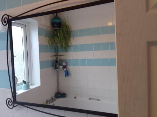 StreathamRose's Home的带浴缸和窗户的浴室内的镜子