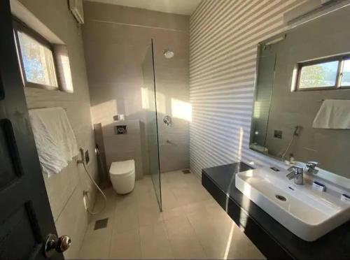 伊斯兰堡Winter Hotel的一间带水槽、淋浴和卫生间的浴室