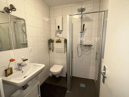 赫恩Möblierte EG- Wohnung zentral in Herne mit Parkplatz,WLAN und Netflix的带淋浴、卫生间和盥洗盆的浴室