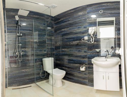 奥赫里德维勒斯特沃公寓的浴室配有卫生间、盥洗盆和淋浴。