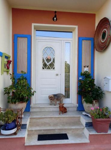 San SperateStanza privata casa artistica Mariola的坐在前门门口的猫