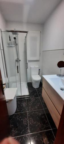 卡马乔Apartamento constitución的浴室配有卫生间、淋浴和盥洗盆。