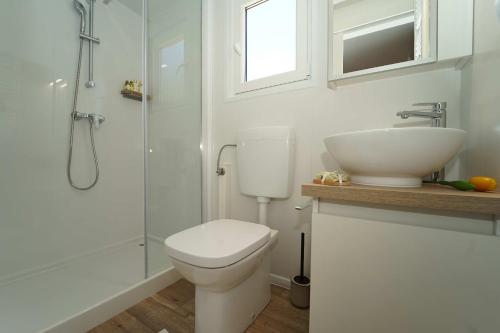 洛维什特Holiday Home Artina 1的浴室配有卫生间、盥洗盆和淋浴。
