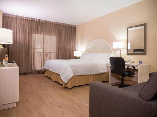 托雷翁托雷翁智选假日酒店的配有一张床和一把椅子的酒店客房