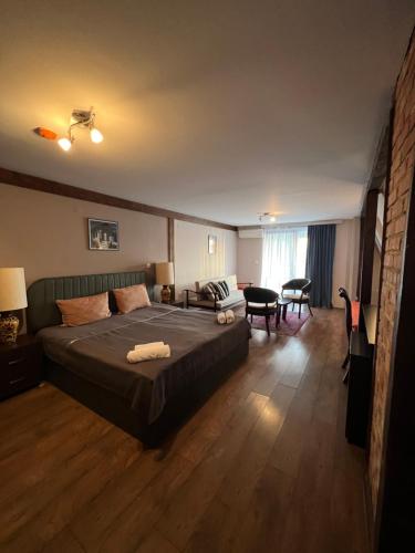 奥赫里德Villa Dionis的一间卧室设有一张床和一间客厅。
