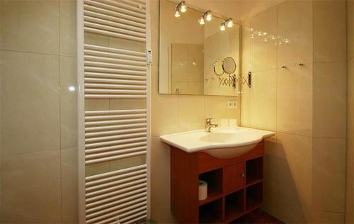 奥斯赛拜-屈隆斯博恩Residenz-Ostseestrand-Wohnung-29-393的一间带水槽、镜子和淋浴的浴室