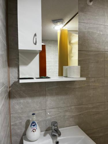 代斯波托瓦茨ŽUBOR VRELA的一间带水槽和镜子的浴室