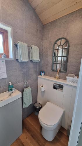 利特里姆LittleGreenGlamping的一间带卫生间、水槽和镜子的浴室