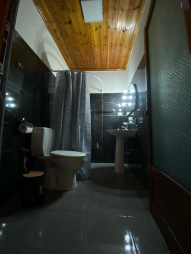 吉诺卡斯特Marko's House的一间带卫生间和水槽的浴室