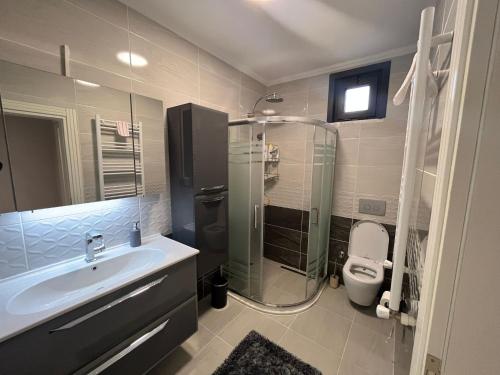 特拉布宗Villa Nature的一间带水槽、淋浴和卫生间的浴室