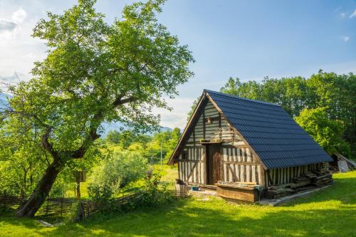 科拉欣Djurdjevina Family Farm的树田里的小木屋