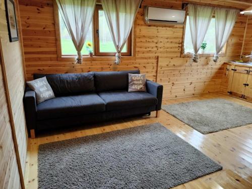 FăgeţelNexus B2的带沙发和2个地毯的客厅