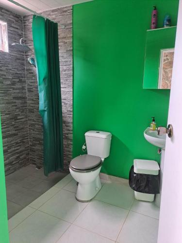 帕皮提Laure hébergement loue lits en dortoir的绿色浴室设有卫生间和水槽