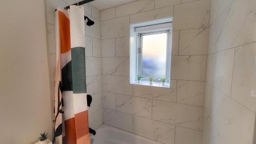 渥太华JstLikeHome - Serenity Suites的带淋浴的浴室和窗户。