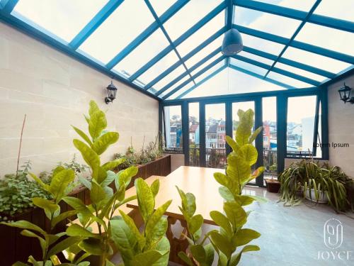 大叻Joyce Boutique Coffee & Stay的一间种植了植物的温室和玻璃天花板