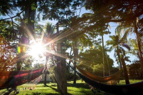 埃斯梅拉达斯Quatro Estações Pesqueiro e Hotel Fazenda的公园里的吊床,阳光照耀着树木