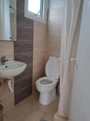 梅松吉Evridiki Apartments的一间带卫生间和水槽的浴室