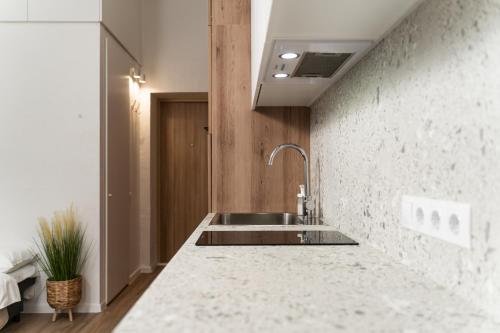 维尔纽斯Air Apartment 312的厨房设有水槽和混凝土墙
