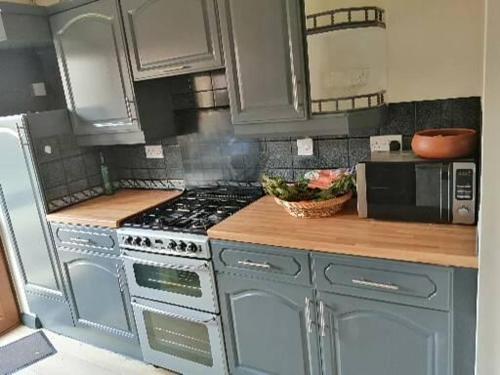 莱斯特Park House的厨房配有蓝色橱柜、炉灶和微波炉。