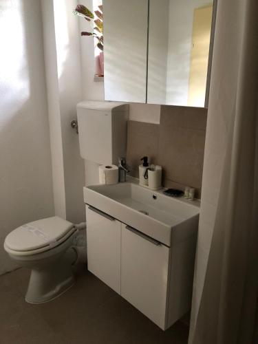 PopovacGoldberg - Apartman Lana的白色的浴室设有卫生间和水槽。
