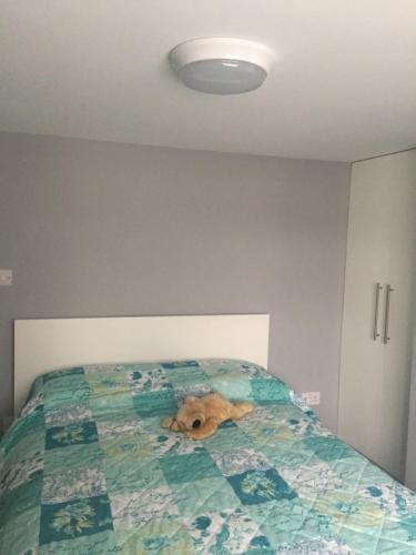 克罗伊登home away from home的一只棕色的狗躺在床上