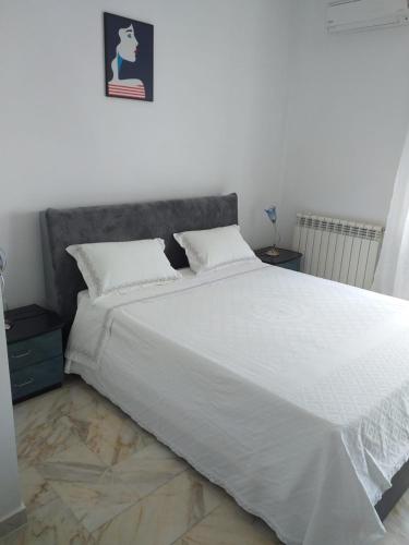 佩斯基奇Affittacamere Casa Flora的一张白色的床,上面有两个枕头