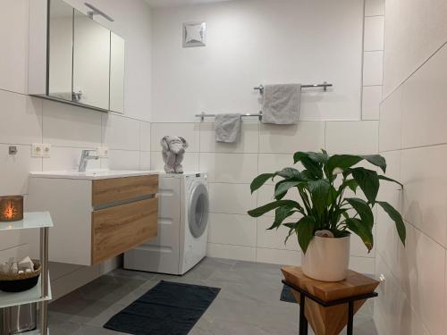 奥法赫Appartement Dorfblick的一间带洗衣机和水槽的浴室