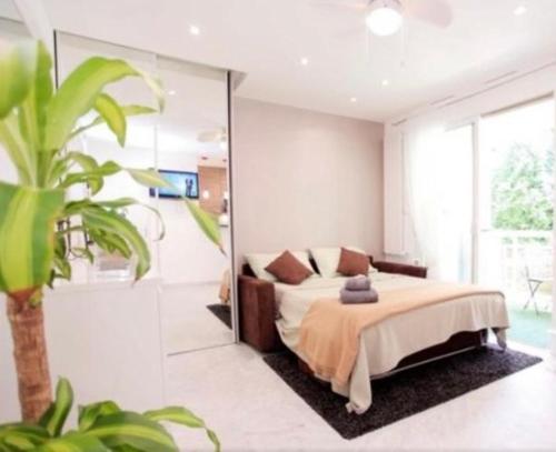 尼斯尼斯距离大海450米超级一室公寓的一间卧室设有一张床和玻璃墙