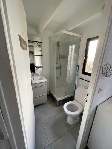 海滨圣玛丽Appartement bord de mer的浴室配有卫生间、淋浴和盥洗盆。
