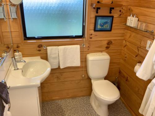 韦斯特波特Birds Ferry Lodge的一间带卫生间、水槽和窗户的浴室