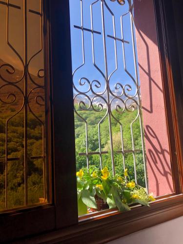 伊姆利尔Dar Amadine的窗台上带花盆的窗户