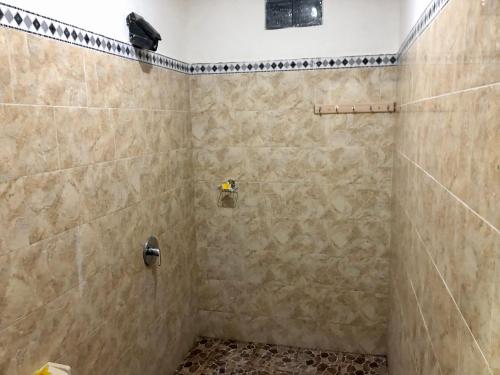 蓝梦岛The Nau Home的带淋浴的浴室(带石墙)