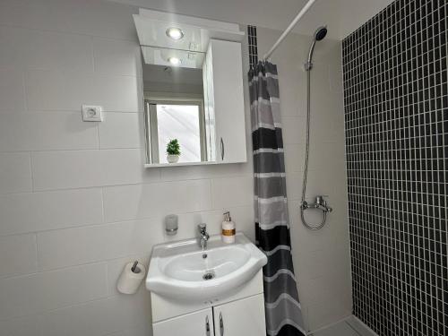 科托尔汤姆丘克旅馆的一间带水槽和淋浴的浴室