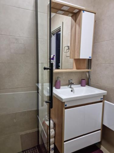布尔泽策Apartman "PUZZLE" Bela Reka, Brzeće的一间带水槽和淋浴的浴室