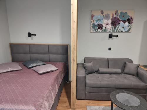 布尔泽策Apartman "PUZZLE" Bela Reka, Brzeće的一间卧室配有一张床和一张沙发