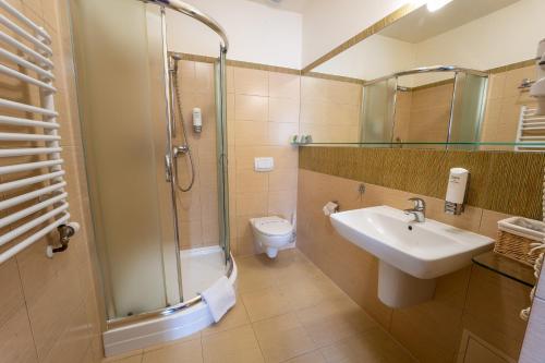 莱斯科斯泽尔考酒店的一间带水槽、淋浴和卫生间的浴室