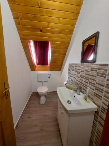 KővágóörsOrbán nyaralóház的一间带卫生间和水槽的浴室