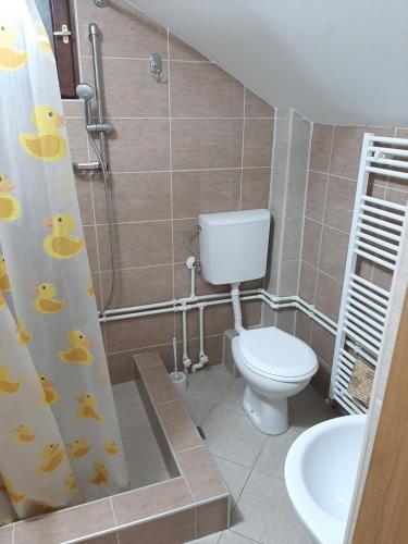 Crni VrhVila Kula的一间带卫生间和淋浴帘的浴室