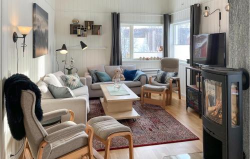 勒罗斯Gorgeous Apartment In Røros With Kitchen的带沙发和电视的客厅