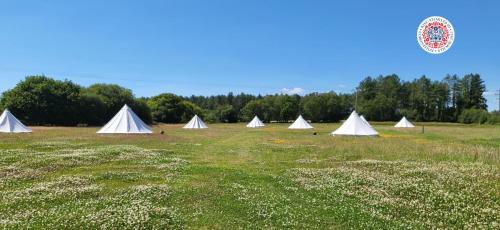 Corfe MullenDorset Glamping Fields的田野上的一组白色帐篷