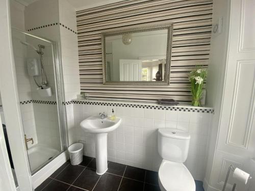 利文-法夫Lomond Guest House的一间带水槽、卫生间和镜子的浴室