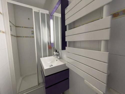 里蒙纽耶Studio au coeur de la station des Menuires的白色的浴室设有水槽和淋浴。