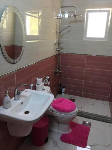 乌姆盖斯بيت العُمري (ام قيس)的一间带水槽、卫生间和镜子的浴室