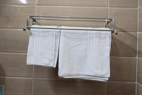Abū Ḩajar al A‘láفندق روز الجنوب的浴室毛巾架上挂着两条毛巾