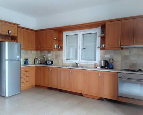 PlátonasVilla Nafsika的厨房配有木制橱柜和不锈钢冰箱。