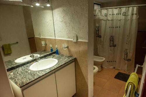 圣拉斐尔Complejo BenjaLuna的一间带水槽、淋浴和卫生间的浴室