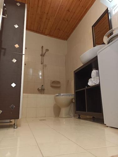 埃费奥纳斯Ventus的带淋浴和卫生间的浴室。