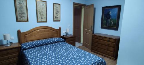 巴雷罗斯Bruma的一间卧室设有一张床和蓝色的墙壁